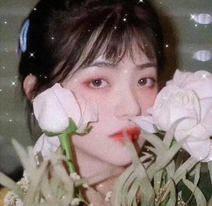 穿越橄榄树林